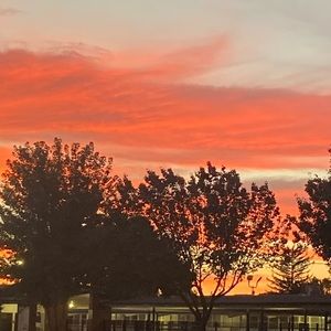 Meet your Posher, Sofia